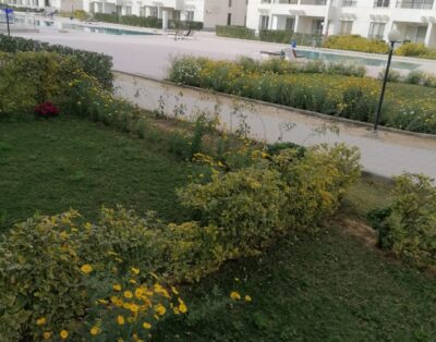 بالميرا العين السخنة – شاليه ارضي بحديقه غرفتين و2 حمام امام البسين مباشرة